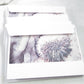 Dandelion Cards