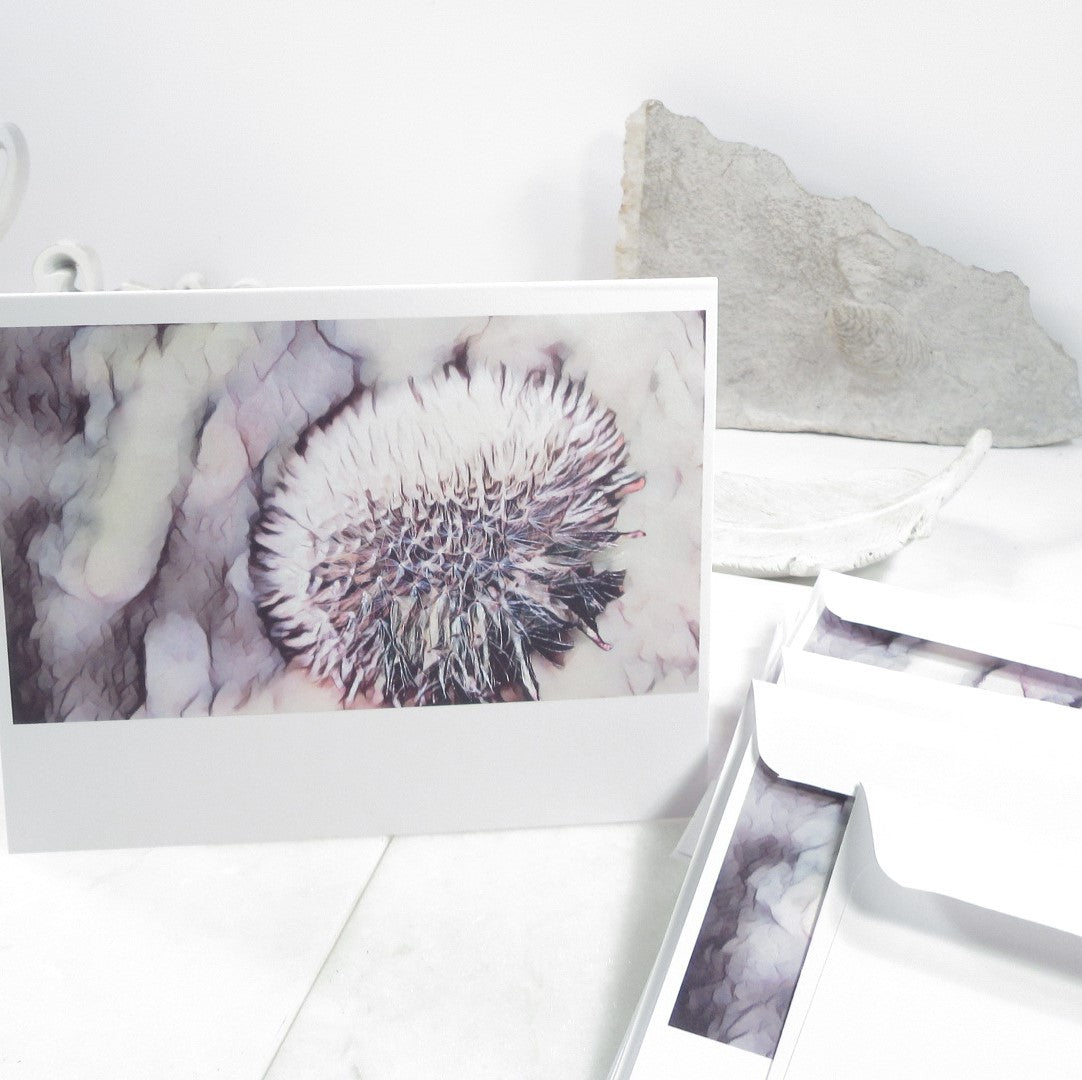 Dandelion Cards